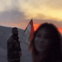 Flag Al GIF