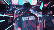 League Of Legends Lol GIF by G2 Esports