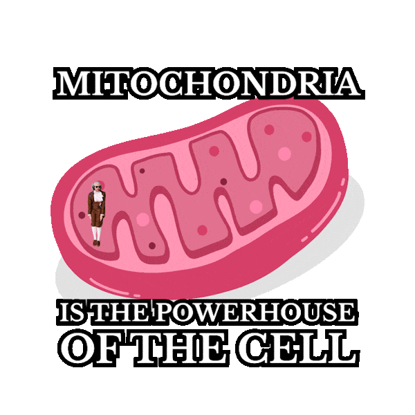 Education Learning Sticker