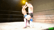 Tag Team Southern Hemisphere Wrestling Alliance GIF by SHWA Wrestling