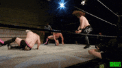 Tag Team Southern Hemisphere Wrestling Alliance GIF by SHWA Wrestling
