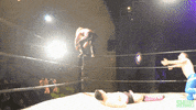 Tag Team Southern Hemisphere Wrestling Alliance GIF by SHWA Wrestling