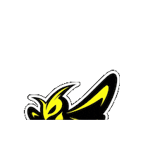 Triathlon Sticker by Tri Team 1.USC Traun