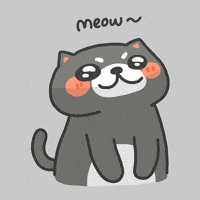Cat Pop GIF
