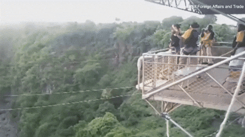 58d4b6a0e8004dd6a499524384e88c9f giphyupload GIF