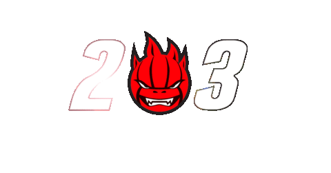 Livesir Sticker by SIR Volley