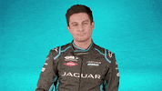 Formula E Sport GIF by Jaguar Racing