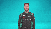 Street Racing Sport GIF by Jaguar Racing