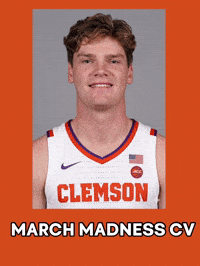 Clemson Tigers Touchdown GIF