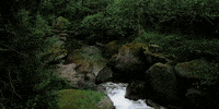 creativepark  GIF