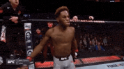 ufc 231 sport GIF by UFC