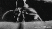 GIF by KQEDScience
