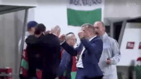 Lets Go Football GIF by UEFA