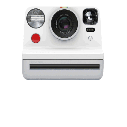 loacker giphyupload polaroid loacker Sticker