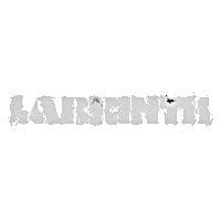 Lab Euphoria Sticker by Labrinth