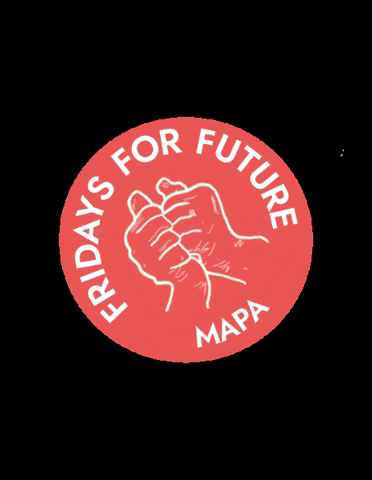 FFFMAPA mapa fridaysforfuture climate strike global climate strike GIF