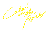 festival corsica Sticker by Calvi on the Rocks