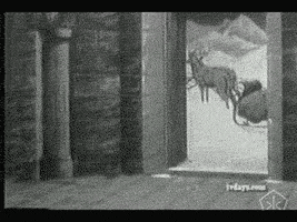 Black And White Christmas GIF by Okkult Motion Pictures