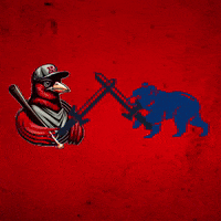 Redbirdriot GIF