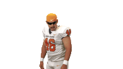 Cnfb Sticker by Carson-Newman Athletics