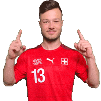 Switzerland Suisse Sticker by Swiss Football Association