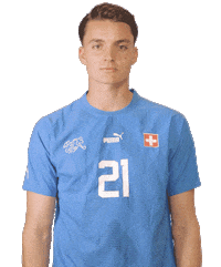 Switzerland Suisse Sticker by Swiss Football Association