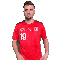 Switzerland Suisse Sticker by Swiss Football Association