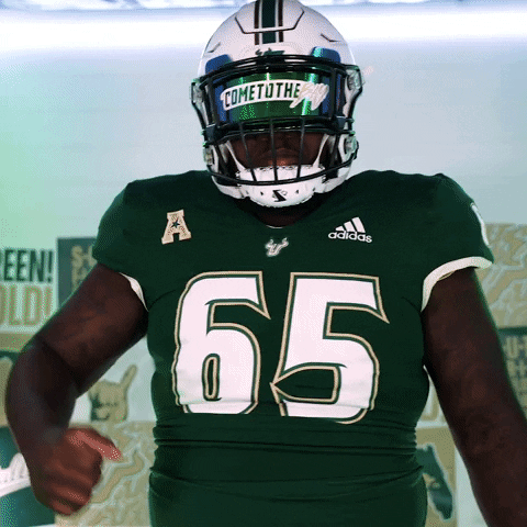 South Florida Sport GIF by USF Athletics
