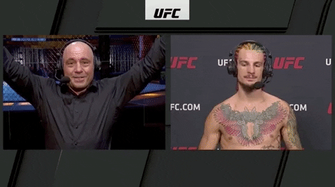Sport Mma GIF by UFC