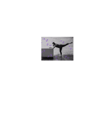 twistedfitnic giphyupload barre barreworkout meetmeatthebarre Sticker