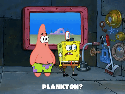 season 7 mystery with a twist GIF by SpongeBob SquarePants