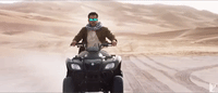 Tiger Zinda Hai GIF