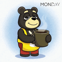 Happy Bonk GIF by Buddies for Paws