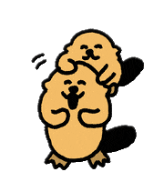 This Is Nice Good Boy GIF by takadabear