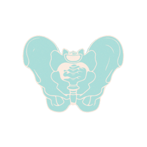 Pelvic Floor C-Section Sticker by Nancy Anderson Fit
