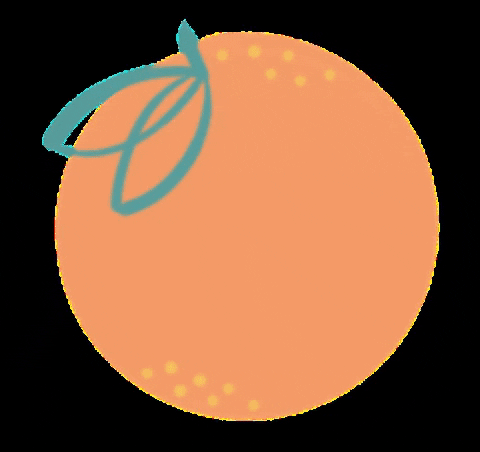 morning_clementine giphygifmaker orange fruit minimalist GIF