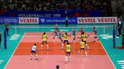 GIF by Volleyball World
