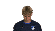 Look Up Tsg Hoffenheim Sticker by Bundesliga