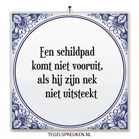 Humor Nl GIF by Tegelspreuken.nl