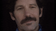 Paul Rudd Smile GIF by VVS FILMS