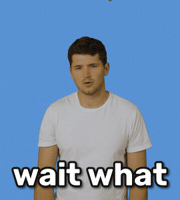 Chef What GIF