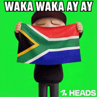 Celebrate World Cup GIF by OneFootball Heads