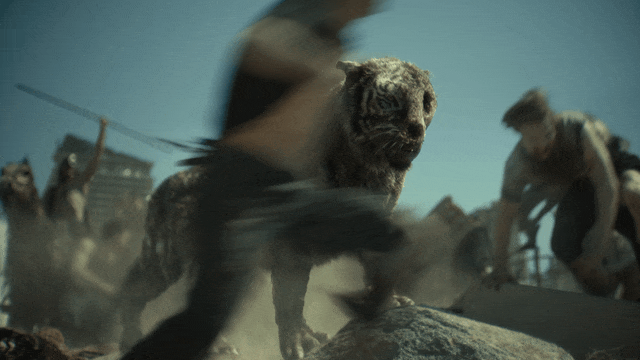 Zack Snyder Valentine GIF by NETFLIX