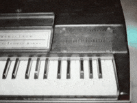 cleopold GIF by Downtown Records