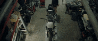 H-D Sport GIF by Harley-Davidson