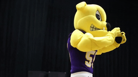 clap clapping GIF by Western Illinois University