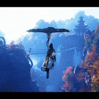 Wwm GIF