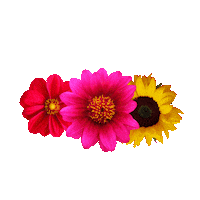 elistorycriativo flowers flores elistorycriativo flores Sticker