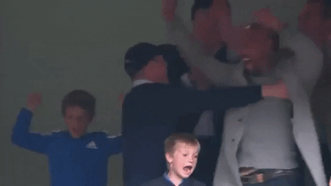 AstonVillaFC giphygifmaker happy sports football GIF