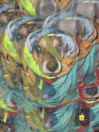 Biscuit GIF